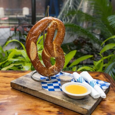 Giant Salted Pretzel